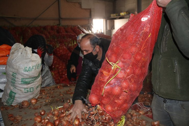 Eskişehirli soğan çiftçisi sırasına bekliyor