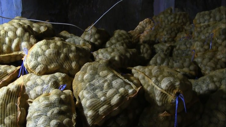 Toprak Mahsulleri Ofisi, patates alımını sürdürüyor, çiftçiler durumdan memnun