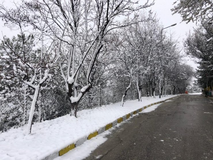 Eskişehir yine beyaz örtü altında