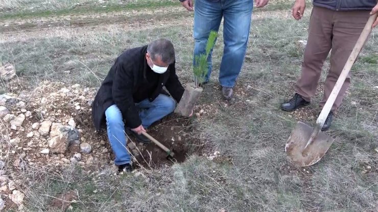 Yüzlerce fidanı toprakla buluşturmak için kilometrelerce yol kat ettiler