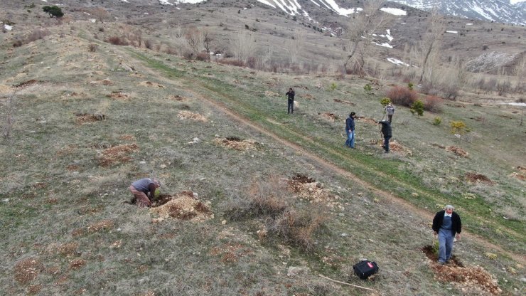 Yüzlerce fidanı toprakla buluşturmak için kilometrelerce yol kat ettiler