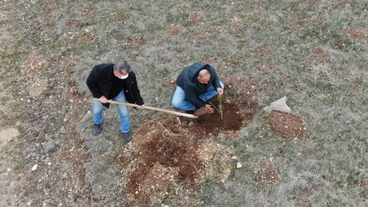 Yüzlerce fidanı toprakla buluşturmak için kilometrelerce yol kat ettiler