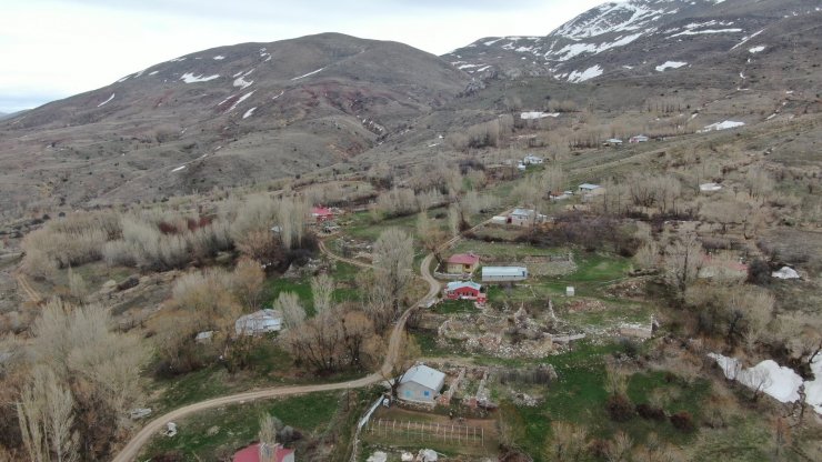 Yüzlerce fidanı toprakla buluşturmak için kilometrelerce yol kat ettiler