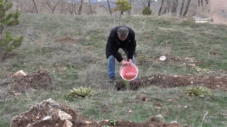 Yüzlerce fidanı toprakla buluşturmak için kilometrelerce yol kat ettiler