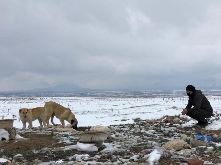 Karaman’da sokak hayvanlarına yem bırakıldı