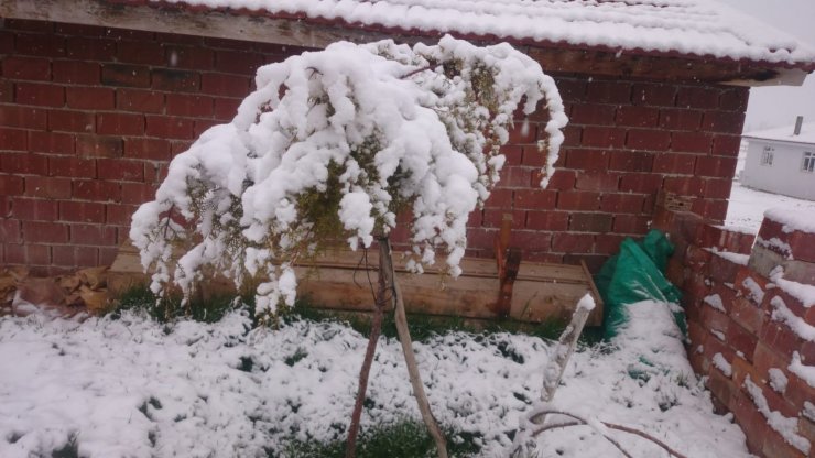 Seyitgazi’de Nisan ayında kar sürprizi