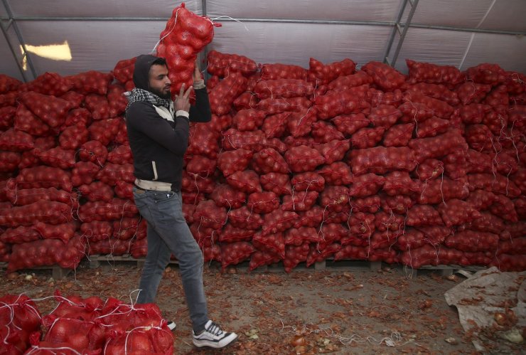 TMO, çiftçinin elinde kalan patates ve kuru soğanı maliyet fiyatına satın almaya başladı