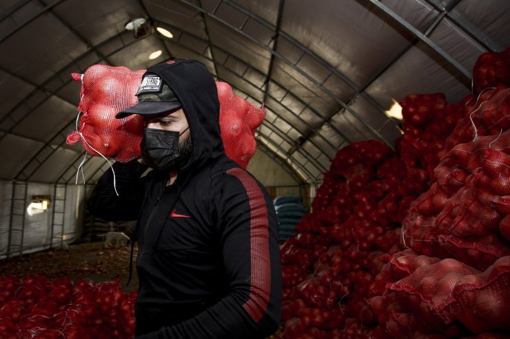 TMO, çiftçinin elinde kalan patates ve kuru soğanı maliyet fiyatına satın almaya başladı