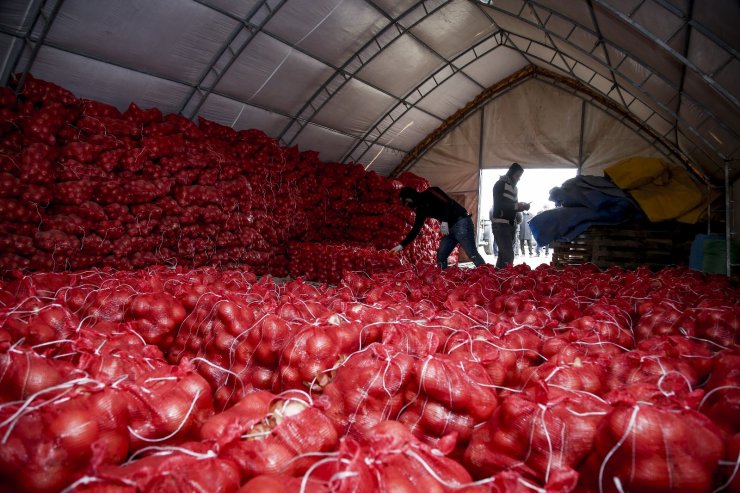 TMO, çiftçinin elinde kalan patates ve kuru soğanı maliyet fiyatına satın almaya başladı