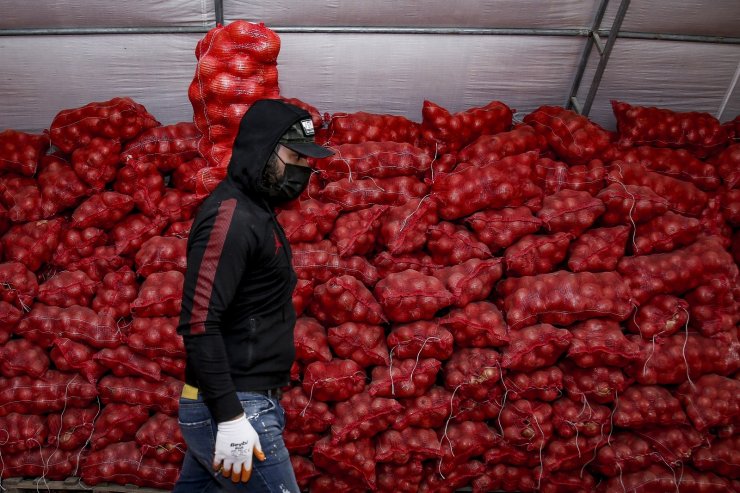 TMO, çiftçinin elinde kalan patates ve kuru soğanı maliyet fiyatına satın almaya başladı