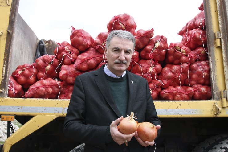 TMO, çiftçinin elinde kalan patates ve kuru soğanı maliyet fiyatına satın almaya başladı