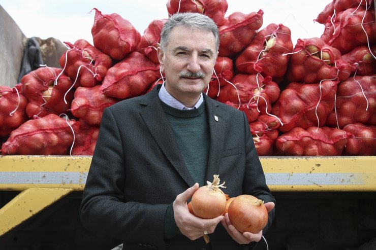 TMO, çiftçinin elinde kalan patates ve kuru soğanı maliyet fiyatına satın almaya başladı