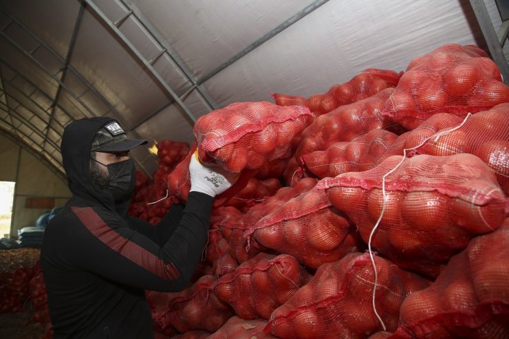 TMO, çiftçinin elinde kalan patates ve kuru soğanı maliyet fiyatına satın almaya başladı