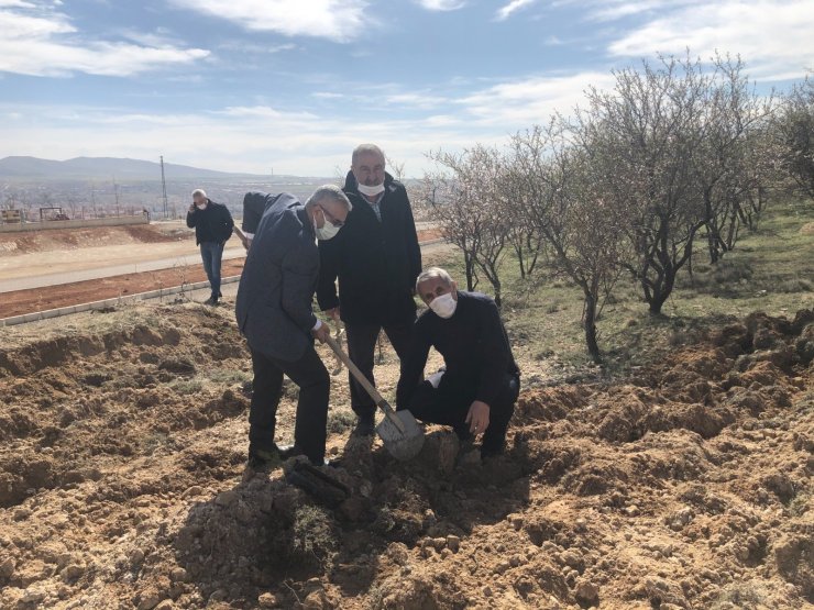 Yunus Emre anısına alıç fidanı dikildi