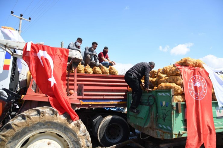 Kayseri’deki patatesler 81 ile gönderiliyor