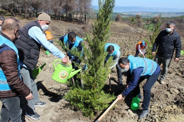 Hükümlüler, diktiği fidanları sağlık çalışanlarına adadı