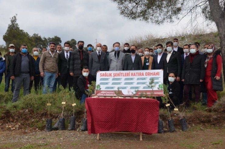 Hükümlüler, diktiği fidanları sağlık çalışanlarına adadı