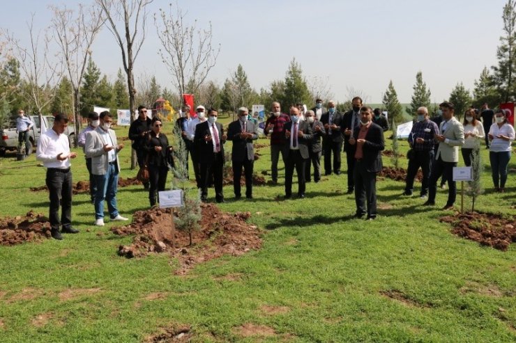 Hükümlüler, diktiği fidanları sağlık çalışanlarına adadı