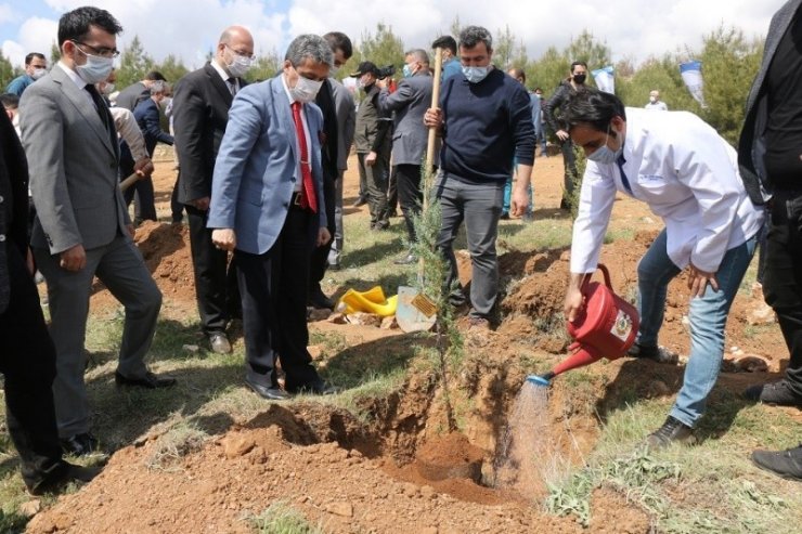 Hükümlüler, diktiği fidanları sağlık çalışanlarına adadı