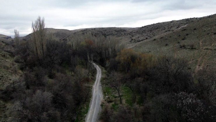 Koramaz Vadisi’nde ’bahar’ güzelliği