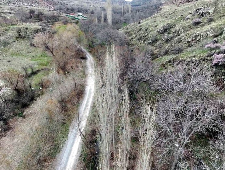 Koramaz Vadisi’nde ’bahar’ güzelliği