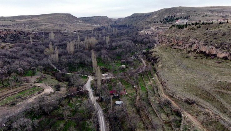 Koramaz Vadisi’nde ’bahar’ güzelliği