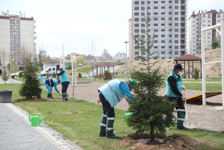 Kocasinan Belediyesi, yeşil hamle ile geleceğe nefes oluyor