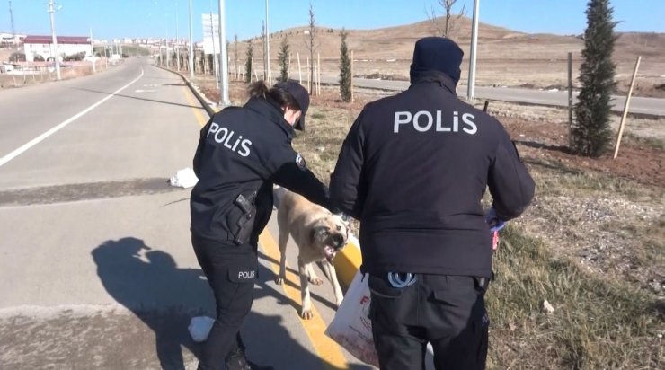 Aksaray’da hayvan koruma polisleri sokak hayvanlarının tüm ihtiyaçları karşılıyor