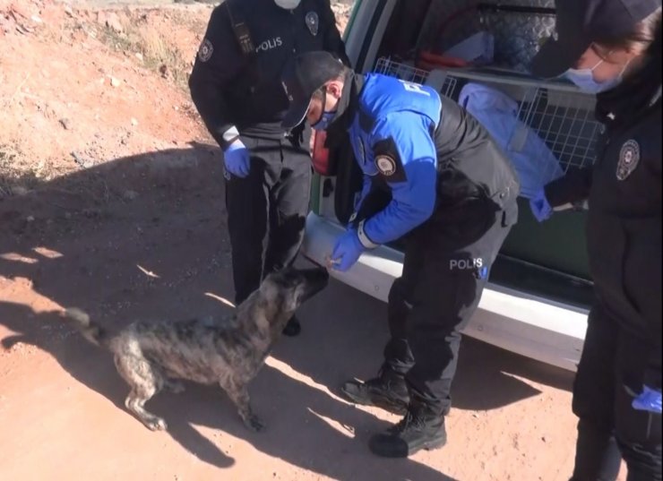 Aksaray’da hayvan koruma polisleri sokak hayvanlarının tüm ihtiyaçları karşılıyor