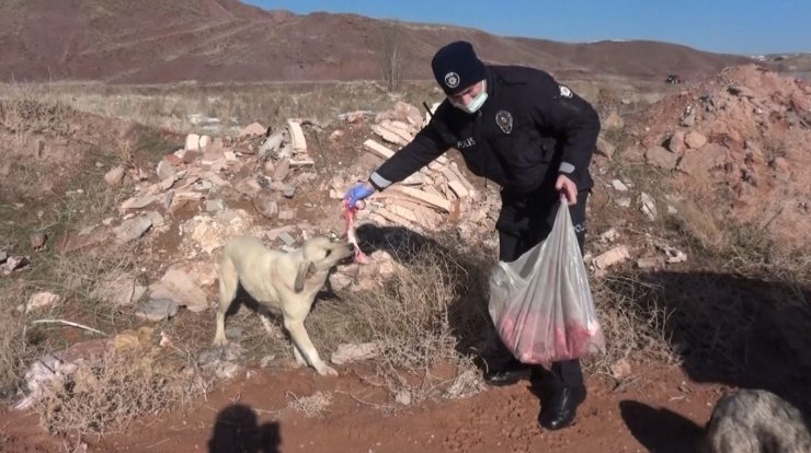 Aksaray’da hayvan koruma polisleri sokak hayvanlarının tüm ihtiyaçları karşılıyor