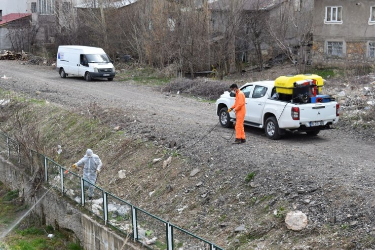 Sivas haşere ve sineklere karşı ilaçlanıyor