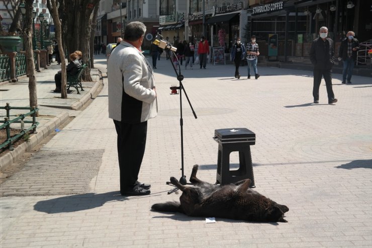 Sokak müzisyenin yanından bir an olsun ayrılmayan köpek