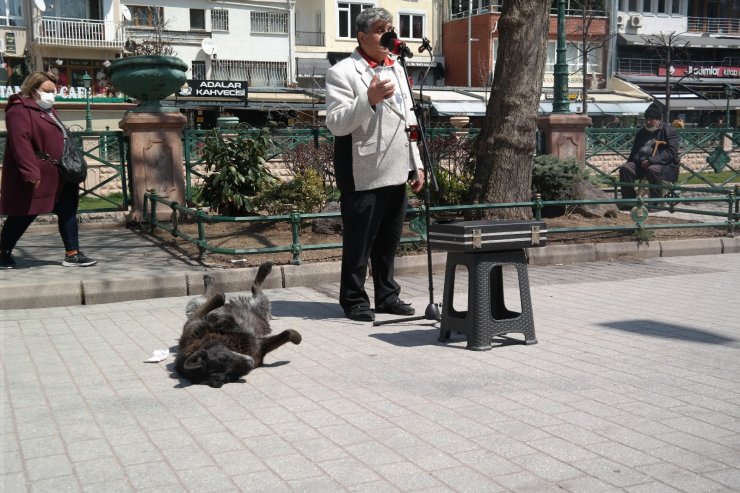 Sokak müzisyenin yanından bir an olsun ayrılmayan köpek