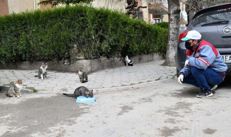 Sokaktaki canlar unutulmuyor