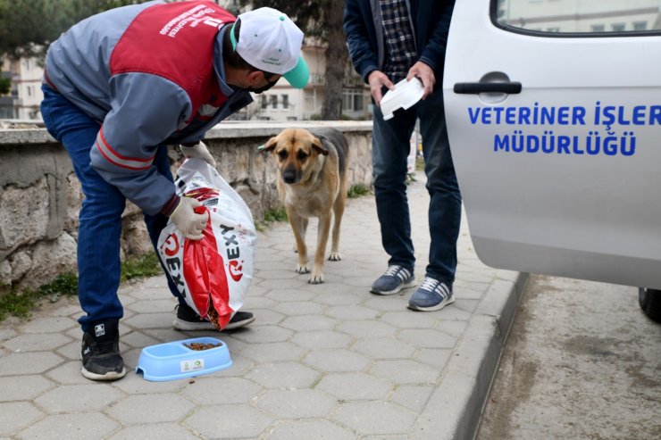 Sokaktaki canlar unutulmuyor