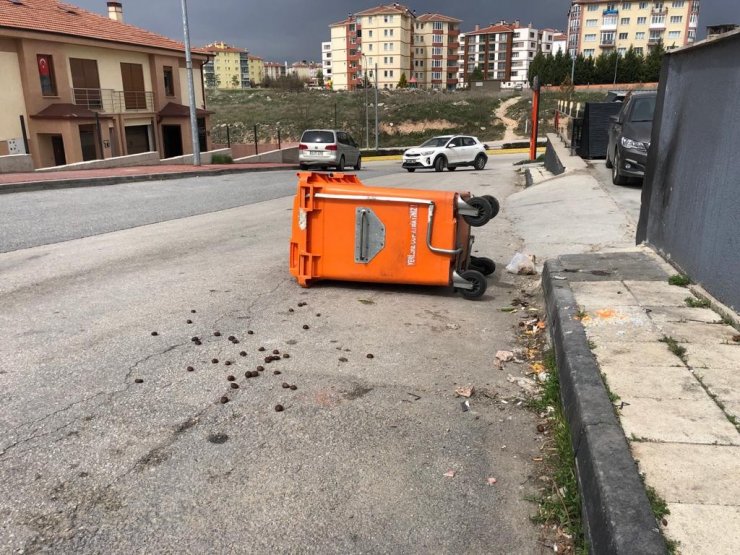 Konteynırları deviren şiddetli rüzgar vatandaşlara zor anlar yaşattı