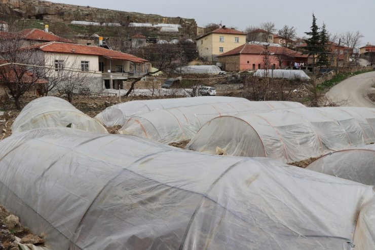 İç Anadolu’nun Çukurova’sında devlet desteğiyle üretim artarak sürüyor