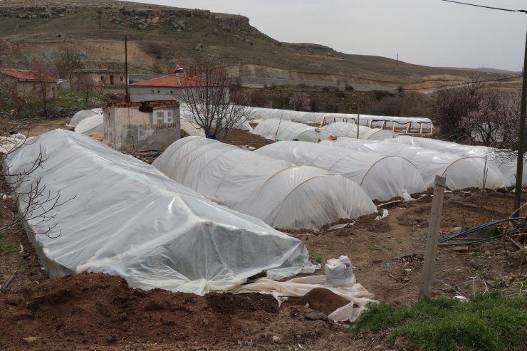 İç Anadolu’nun Çukurova’sında devlet desteğiyle üretim artarak sürüyor