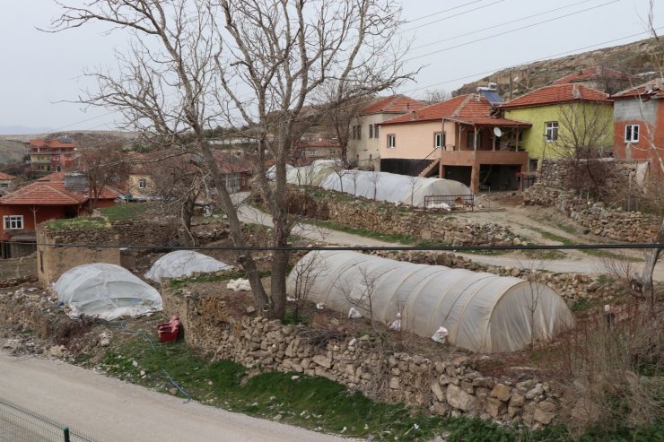 İç Anadolu’nun Çukurova’sında devlet desteğiyle üretim artarak sürüyor