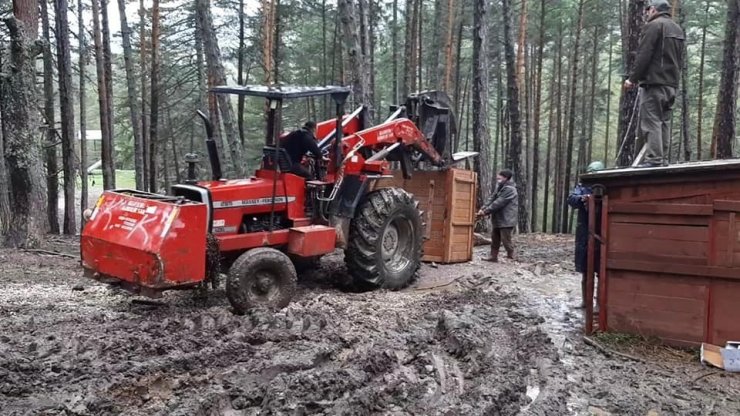 Eskişehir’den Kahramanmaraş’a 5 kızıl geyik gönderildi