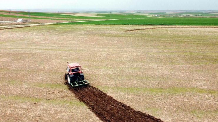 70 dönümlük tarlasına traktörüyle Türk bayrağı çizdi