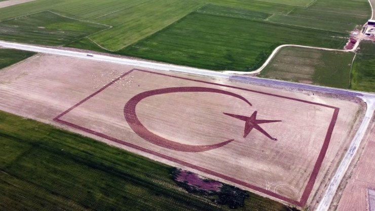 70 dönümlük tarlasına traktörüyle Türk bayrağı çizdi