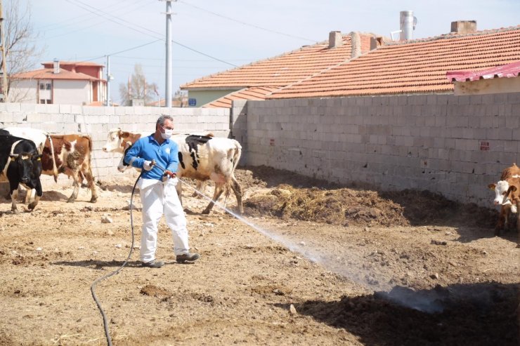 Aksaray’da kara sinek ve haşerelere karşı mücadele başlatıldı