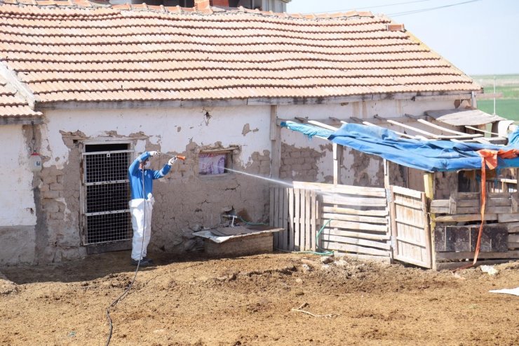 Aksaray’da kara sinek ve haşerelere karşı mücadele başlatıldı