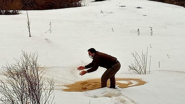 Göçmen kuşlar için yemleme çalışması yapıldı