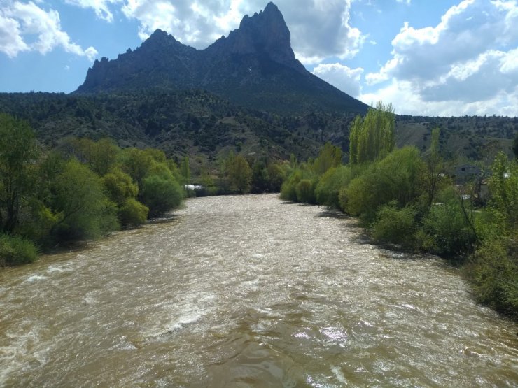 Yağışların etkisiyle Sakarya Nehri kahverengine boyandı