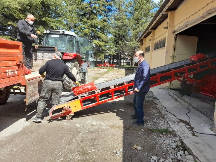 Eskişehir’de patates ve soğan alımları sürüyor