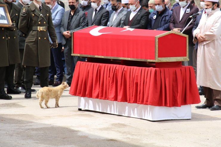 Ankara şehidini toprağa verdi