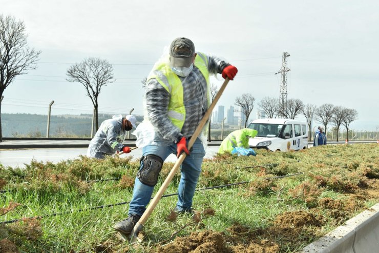 Başkent’te peyzaj çalışmaları devam ediyor