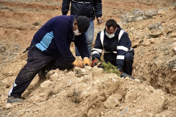 Selçuklu Belediyesi 5 bin fidanla yeşil dokuya katkı sağladı